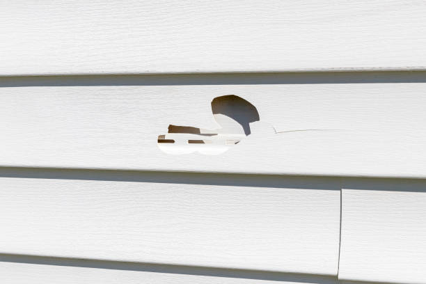 Best Wood Siding Installation  in Ashford, AL