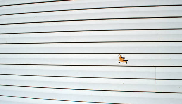 Affordable siding repair and maintenance services in Ashford, AL