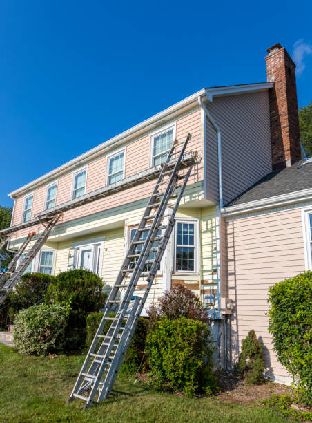 Best Steel Siding Installation  in Ashford, AL