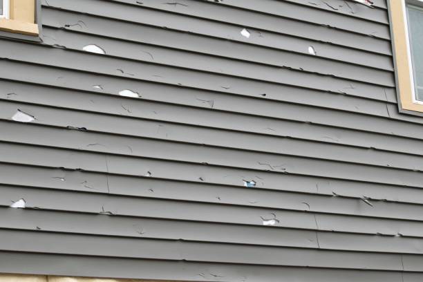 Best Siding Repair  in Ashford, AL