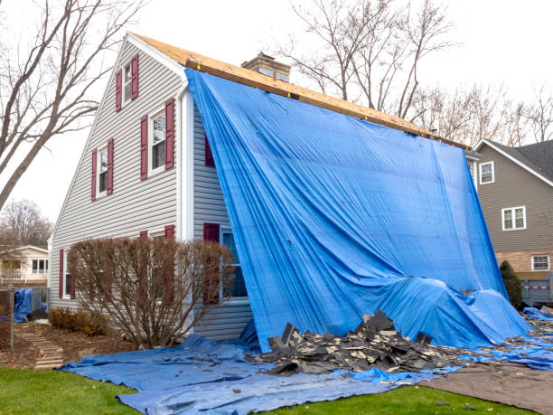 Best Storm Damage Siding Repair  in Ashford, AL