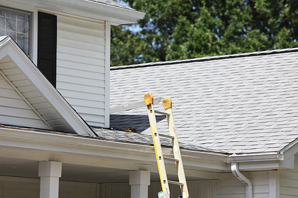 Best Engineered Wood Siding  in Ashford, AL