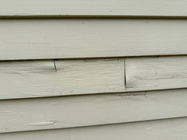 Best Insulated Siding Installation  in Ashford, AL